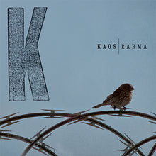 kARMA (2LP)