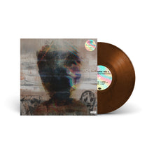 The Hidden Painting (LP)