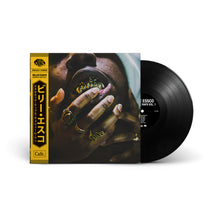 Aesthetic Raps Vol. 1 (LP)